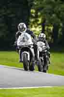 Middle Group Silver_Grey Bikes